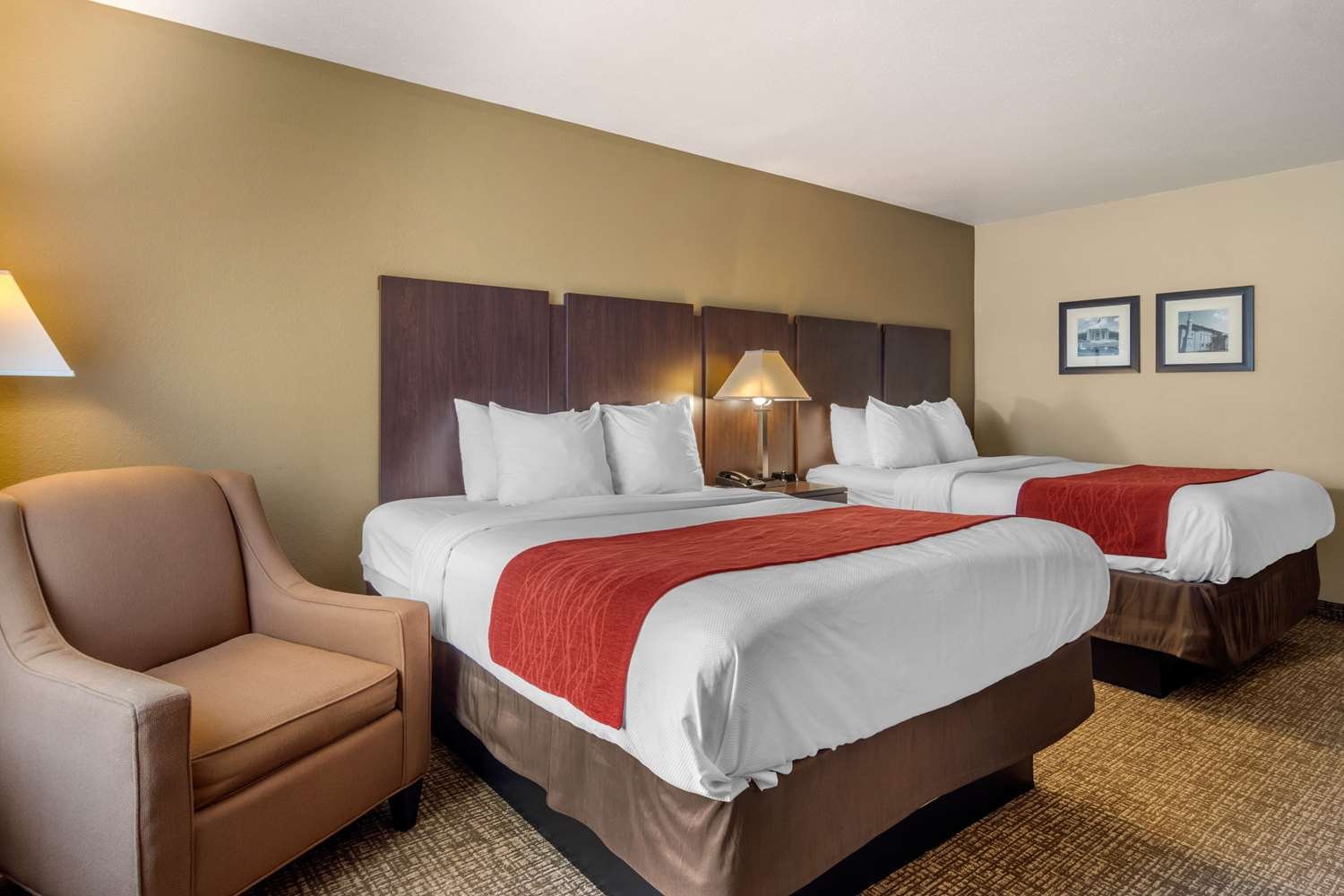 Comfort Inn & Suites-官方