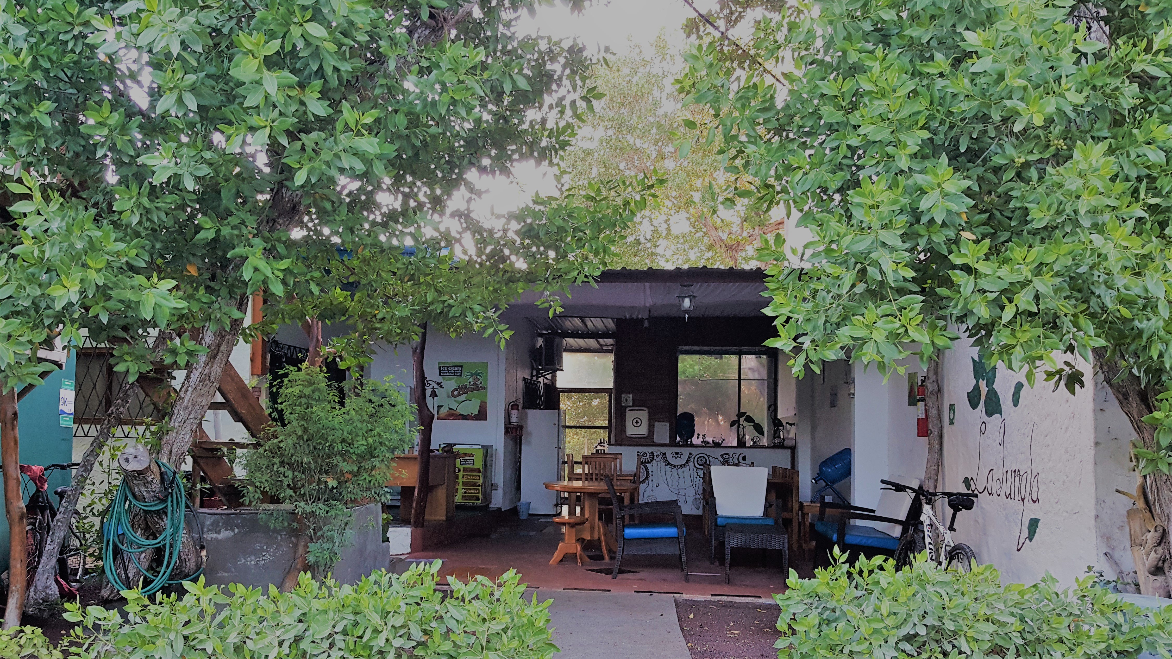 Hostal La Jungla-官方