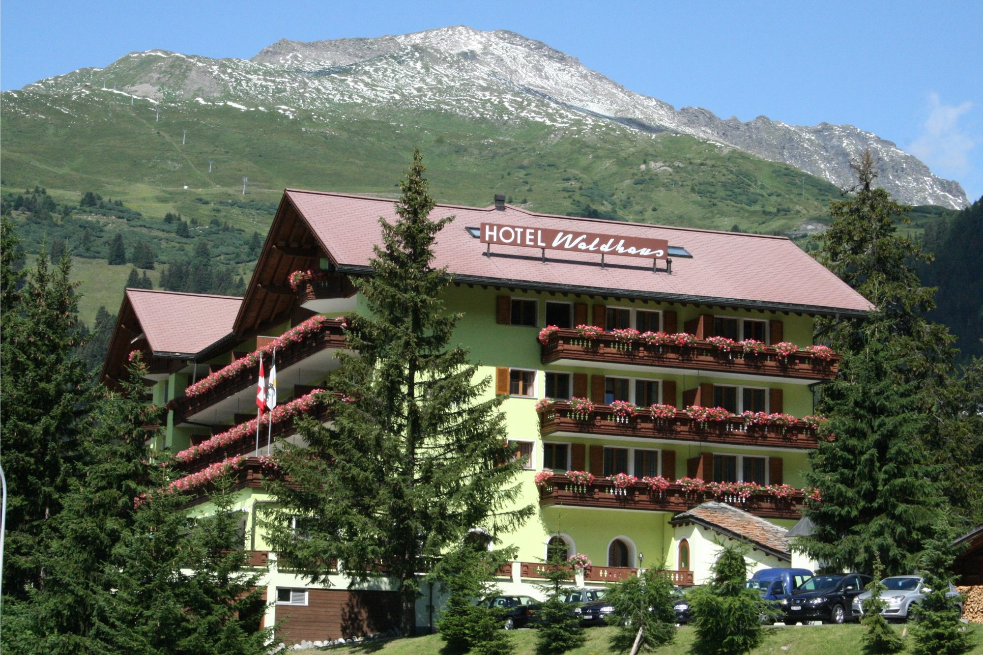 Hotel Waldhaus am See-官方