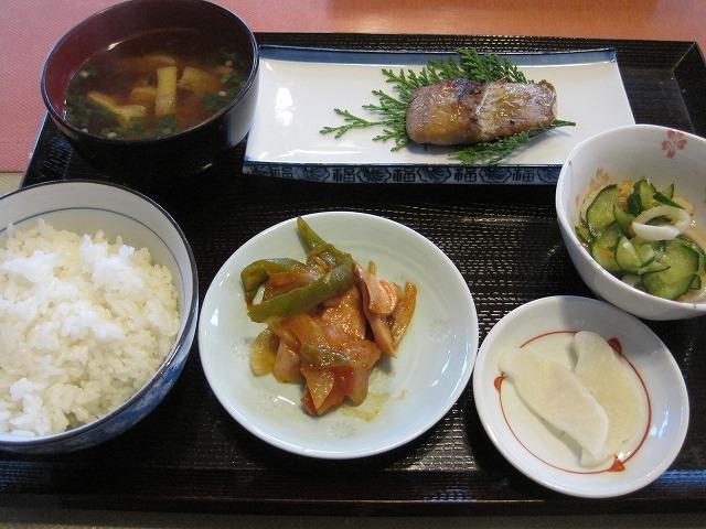 Hotel Sunshine Tohaku-客卧
