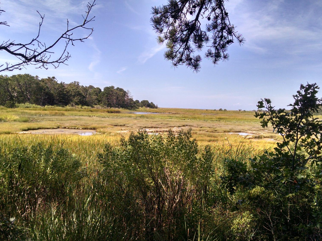 Mass Audubon Wellfleet Bay Wildlife Sanctuary景点图片