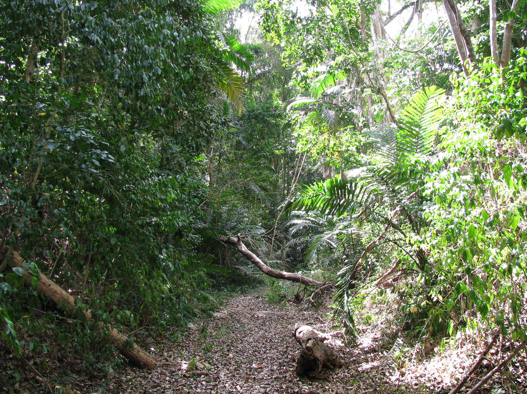 Turner Hall's Woods景点图片