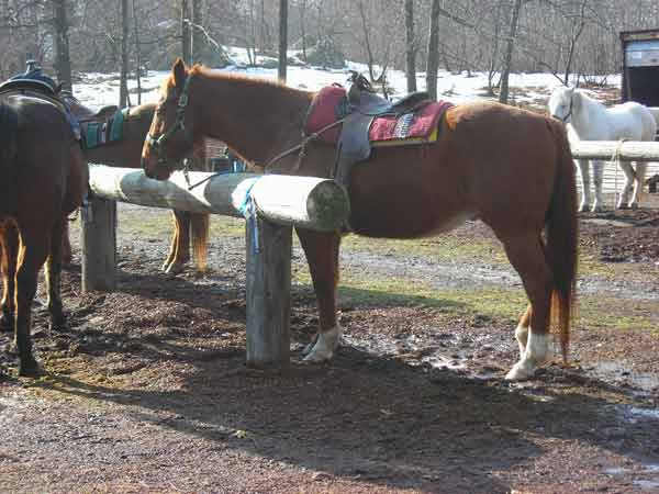 Sunset Stables-Lincoln必去景点