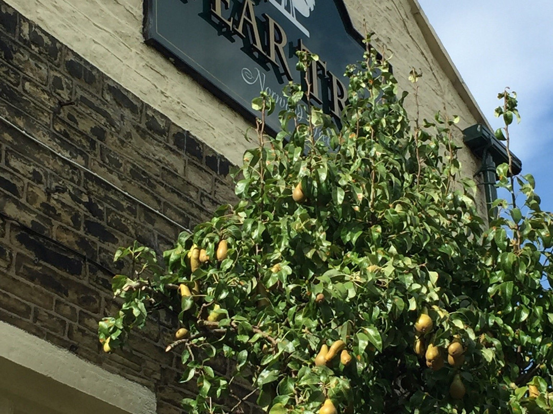 Hipperholme旅游景点-Pear Tree Inn, Norwood Green