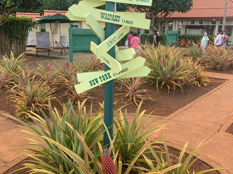 Nui Tours-火奴鲁鲁必去景点