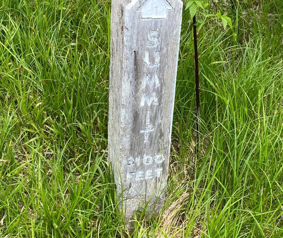 Richland Balsam Mountain-Balsam必去景点