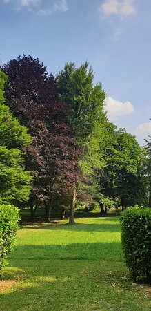 Parco Cavour景点图片