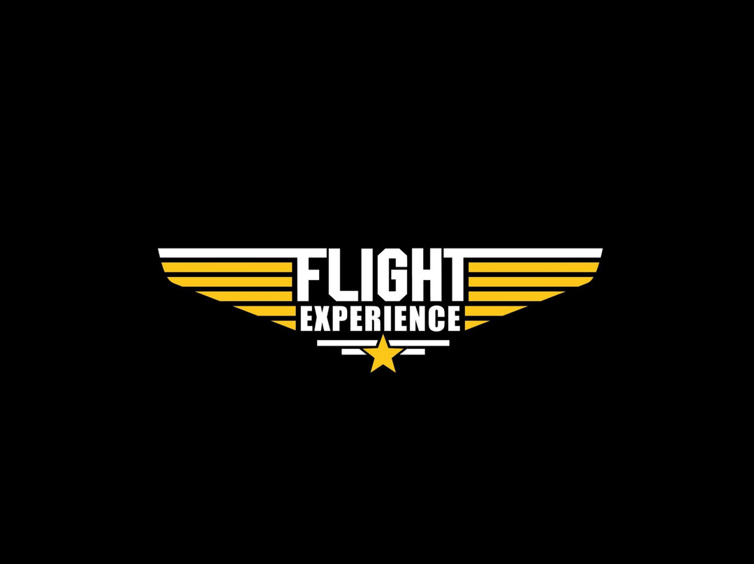 Flight Experience景点图片