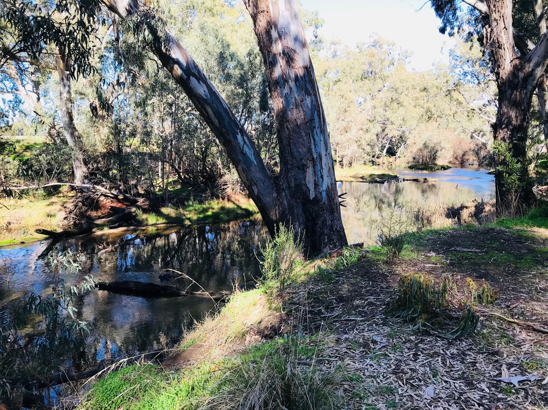 Axedale River Reserve
