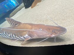 Stingray Reef 215 Kipp Ave-克马必去景点