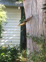 埃尔布利之家住宿加早餐酒店主图