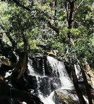 Somersby Waterfalls and Picnic Area景点图片