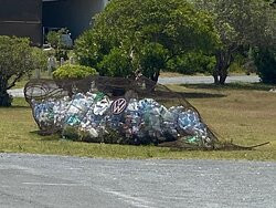 African Penguin & Seabird Sanctuary-干斯拜必去景点
