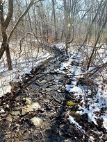 Overland Park Arboretum and Botanical Gardens-欧弗兰帕克必去景点