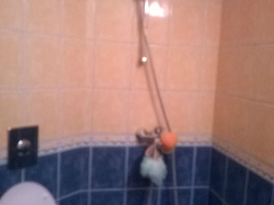 Family Hotel Gery主图