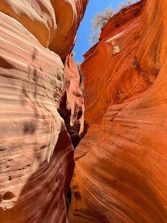 Endless Adventures-Glendale必去景点