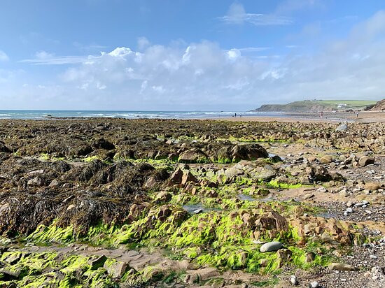 Black Rock Beach-Widemouth Bay必去景点