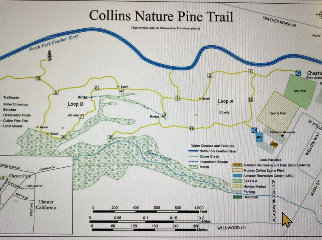 Collins Pine Nature Trail景点图片