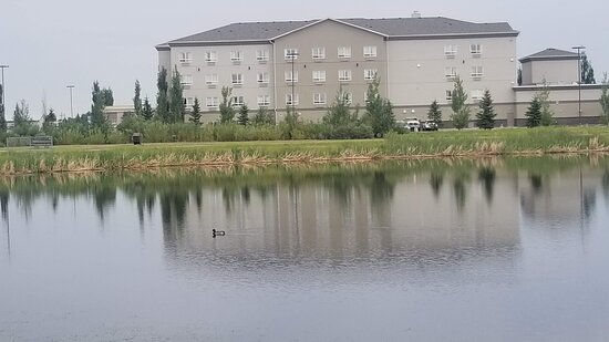 Ramada by Wyndham Stettler-浴室