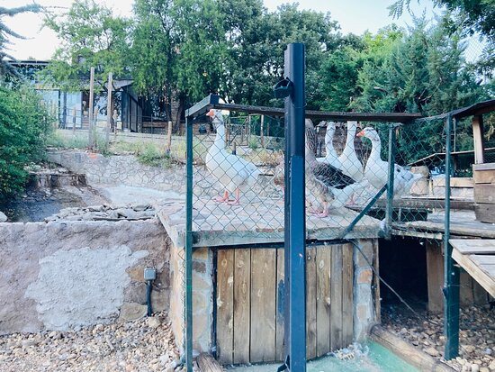 Posada SPA & Granja La Tejera de Lozoya主图