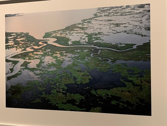 LSU Museum of Art-巴吞鲁日必去景点