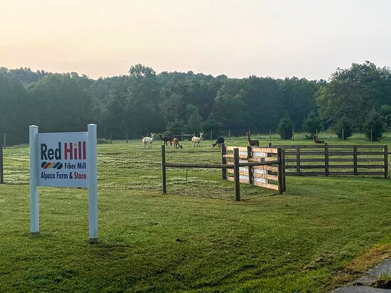 Red Hill Fiber Mill & Alpaca Farm景点图片