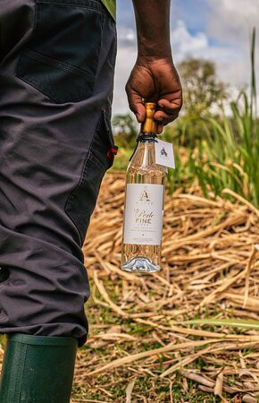 Distillerie Rhum A1710-Le Francois必去景点