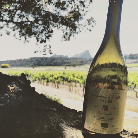 Domaine De La Vieille-Saint-Mathieu-de-Treviers必去景点