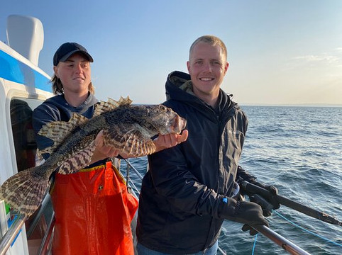 Alaska Coastal Marine Tours-荷马必去景点