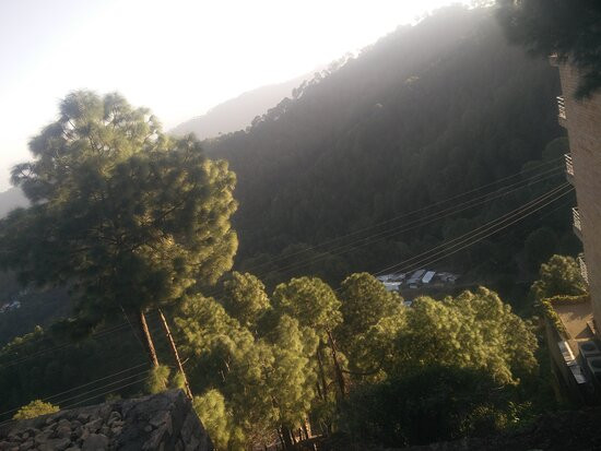 Lemon Tree Hotel, Kasauli主图