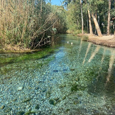 Akyaka River Romp景点图片