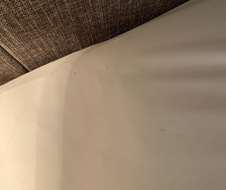 Kokoon Hotel Banyuwangi主图