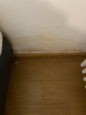 萨尔兹堡公园酒店主图