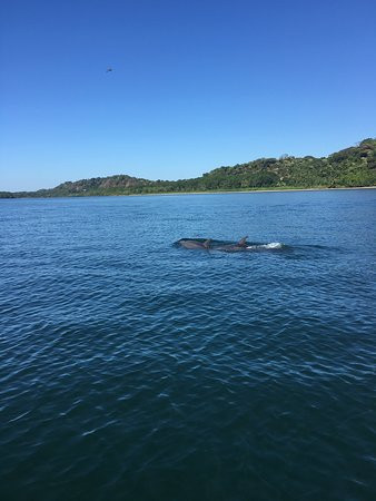 Hostal La Libertad主图