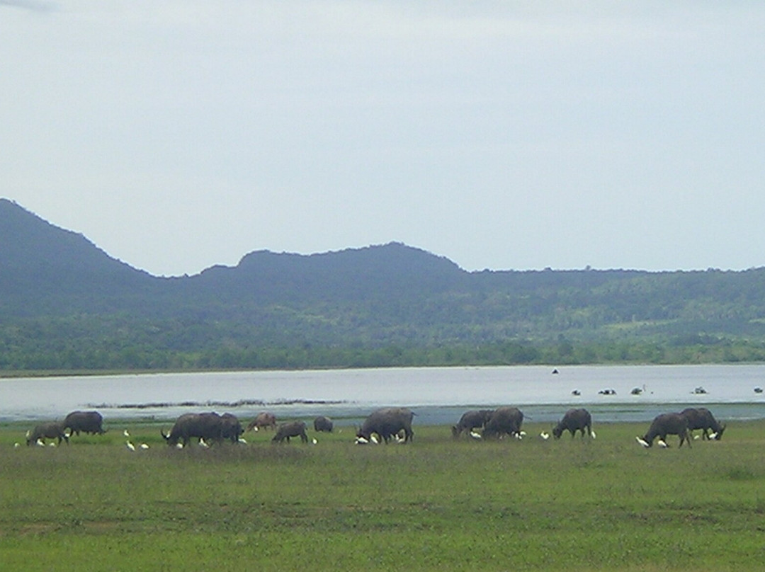 Nino Konis Santana National Park-Lautem必去景点