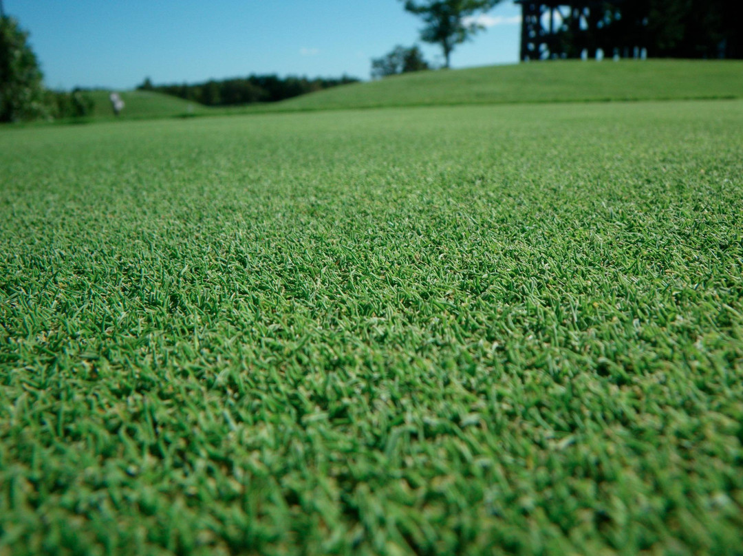 Royalship Sapporo Golf Club-石狩市必去景点