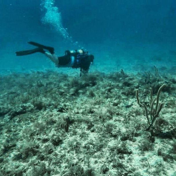 Gaspar's Dive N Board-恩格尔伍德必去景点