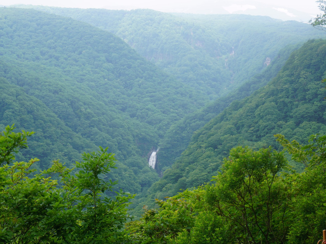 Takimidai Lookout景点图片