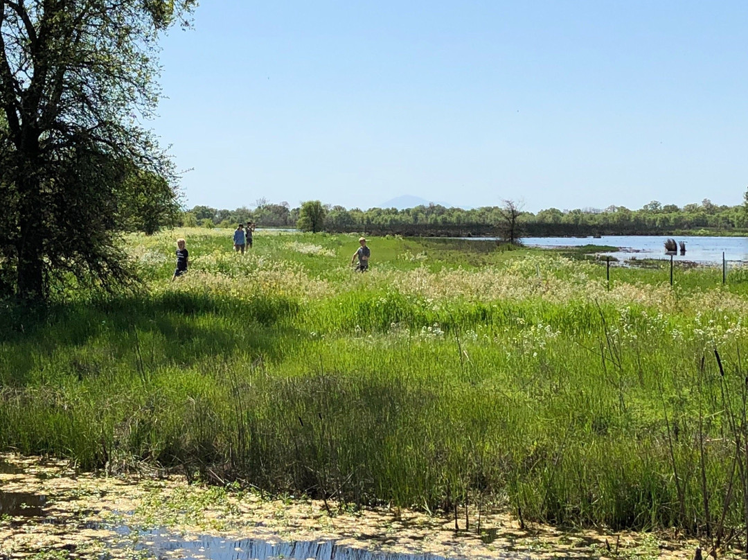Galt旅游攻略图片