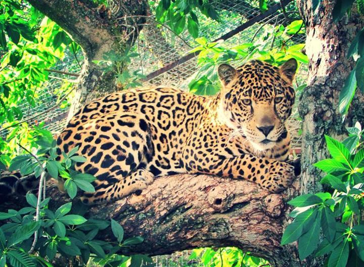 Dunlap旅游攻略图片