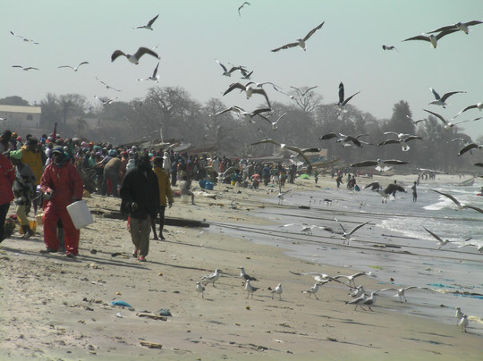 Marakissa旅游攻略图片