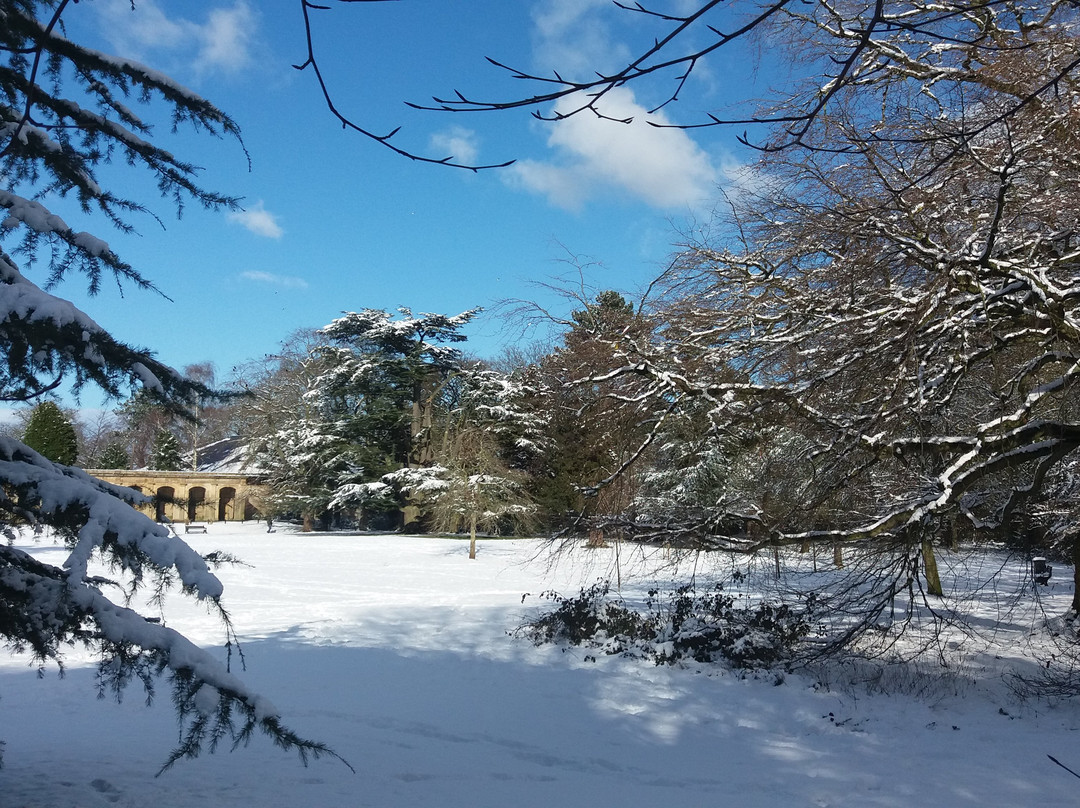 Marton旅游攻略图片