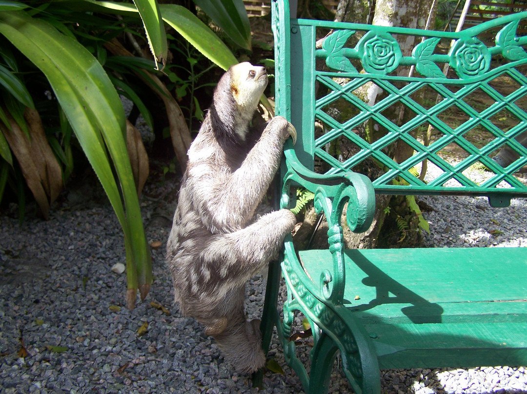 Macouria旅游攻略图片