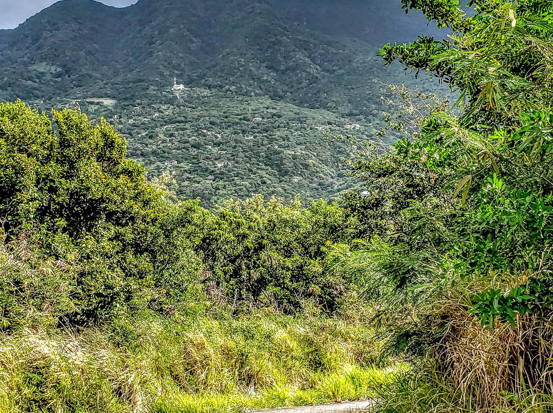 Garibaldi Hill旅游攻略图片