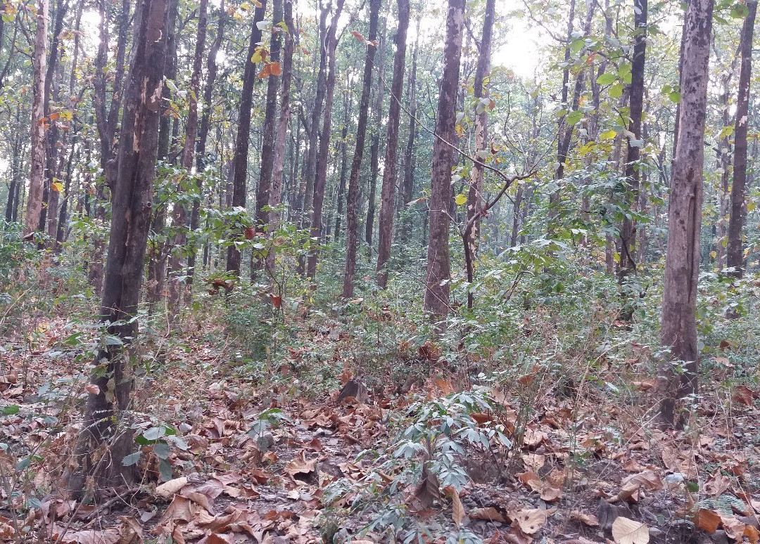 Pukuri景点图片