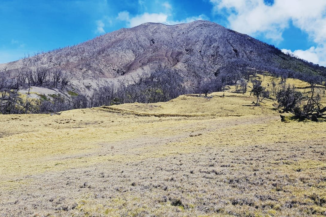 Hacienda La Central景点图片