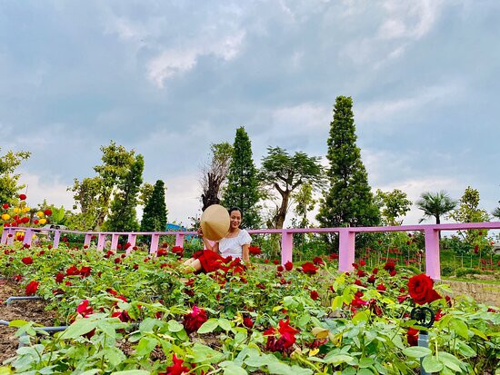 KDL Vườn Hồng Tư Tôn景点图片
