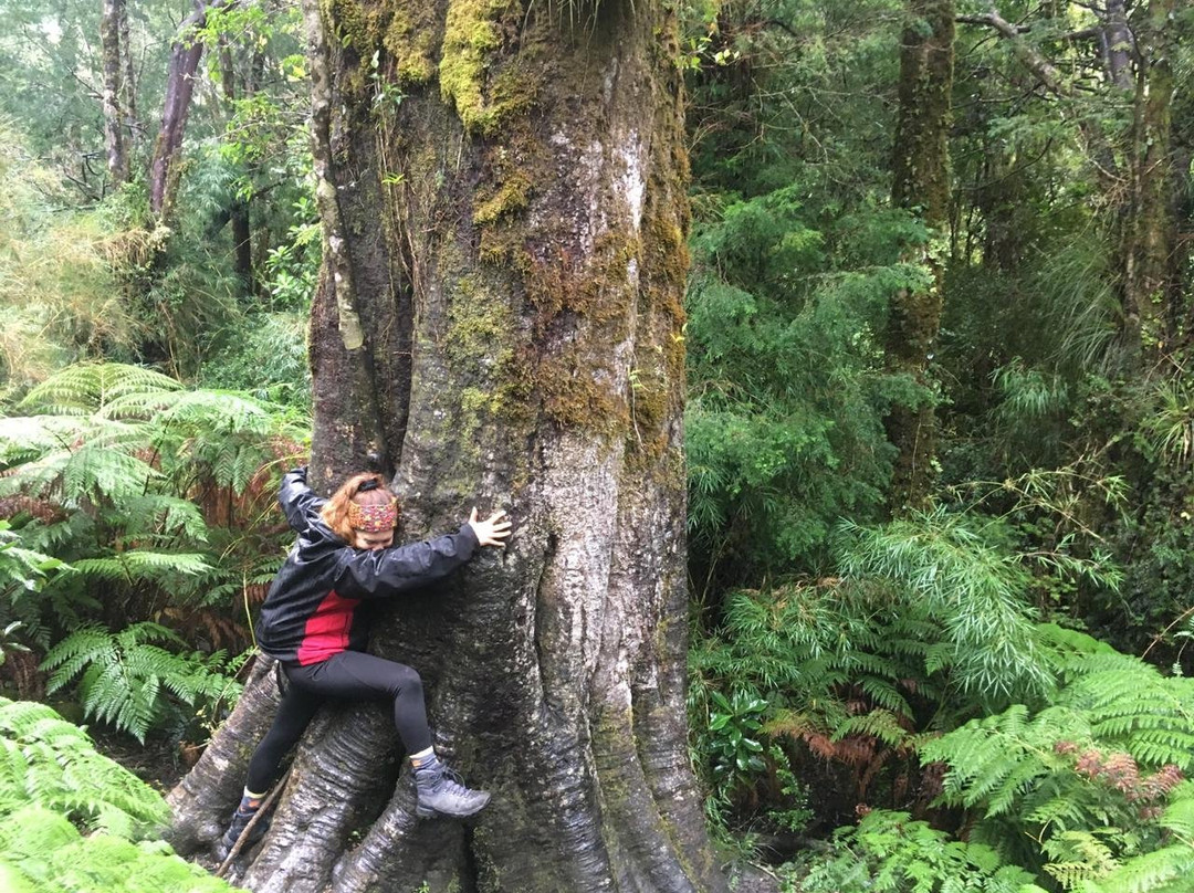 Parque Oncol-瓦尔迪维亚必去景点