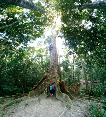 Kuranda Rainforest Journeys ATV Tours