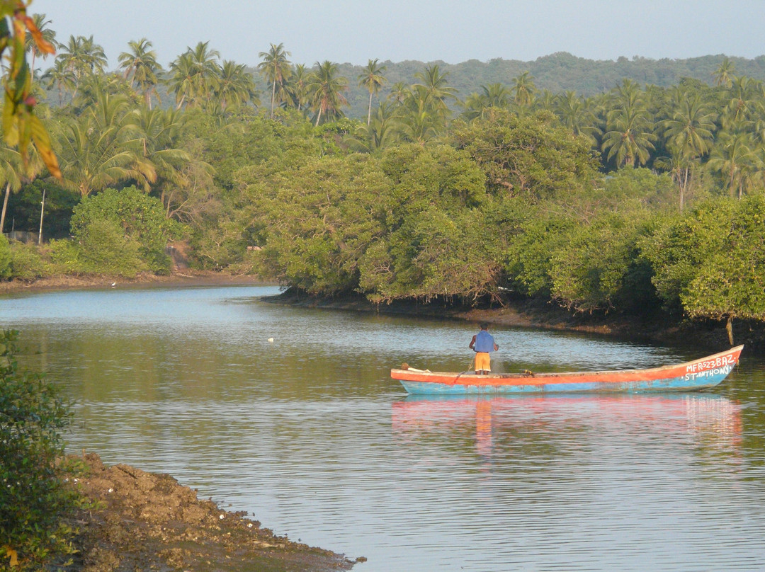 Ayur Clinic Goa-Arpora必去景点